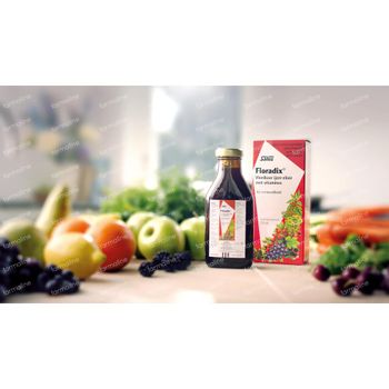 Salus Floradix Élixir de Fer 250 ml