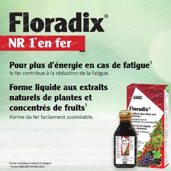 Salus Floradix Élixir de Fer 250 ml