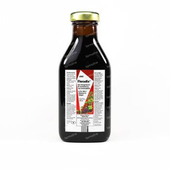 Salus Floradix IJzer-Elixir 250 ml