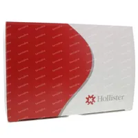 Hollister de store