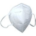 Corona Pandémie Masque de Protection 1 pièce