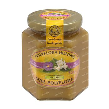 Melapi Miel Fleur Polyflora + Gelée Royale 500 g