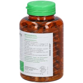 Arkogelules Orthosiphon Vegetal 150 capsules