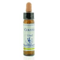 Healing Herbs Cerato 10 ml