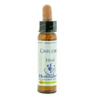 Healing Herbs Chicory 10 ml