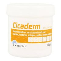 Cicaderm Crème Pis 100 g zalf