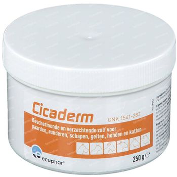 Cicaderm Crème Pis 250 g