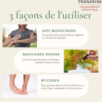 Pranarôm Huile Essentielle Citronnelle de Java 10 ml