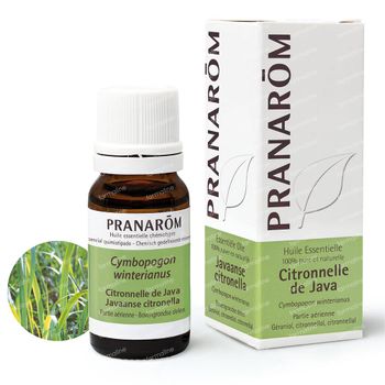 Pranarôm Huile Essentielle Citronnelle de Java 10 ml