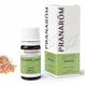 Pranarôm Huile Essentielle Encens 5 ml