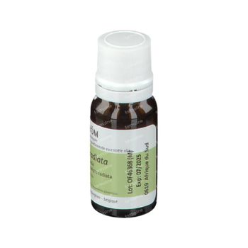 Pranarôm Huile Essentielle Eucalyptus Radié 10 ml