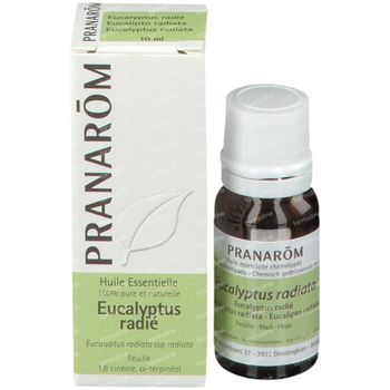 Pranarôm Huile Essentielle Eucalyptus Radié 10 ml