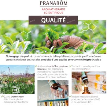 Pranarôm Essentiële Olie Geranium Egypte 10 ml