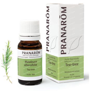 Pranarôm Essentiële Olie Tea Tree 10 ml