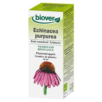Biover Échinacée pourpre – Immunité – Gouttes végétales bio et véganes à l'échinacée – 50 ml 50 ml