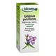 Biover Epilobium Parviflorum 50 ml