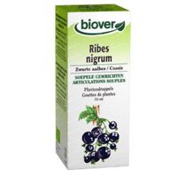 Biover Ribes Nigrum Teinture de Groseillier Noir Bio 50 ml