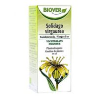Biover Solidago Virgaurea Teinture de Verge d'Or Bio 50 ml
