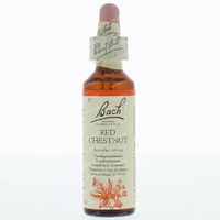 Red chestnut / rode kastanje 20 ml