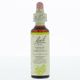 Bach Flower Remedie 35 White Chestnut 20 ml