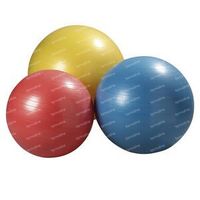 Jobri Exerswiss Bal Therapy Gris 75cm 1 st