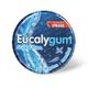 Eucalygum Gommetjes Zonder Suiker 35 g