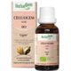 HerbalGem Celluligem Bio 50 ml