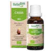 Herbalgem Cassis Macerat 50 ml