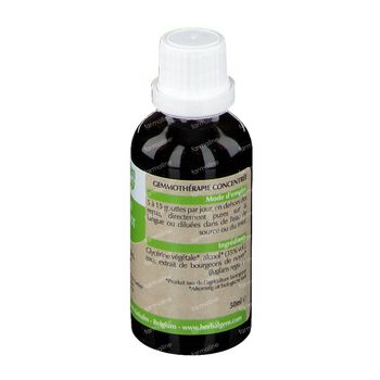 HerbalGem Walnoot Bio 50 ml