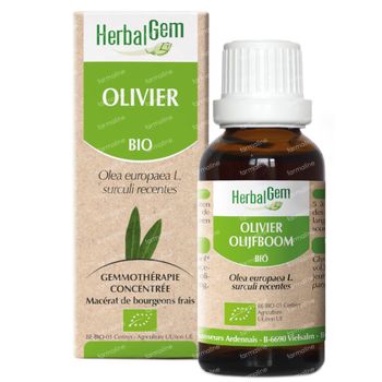 HerbalGem Olivier Bio 50 ml