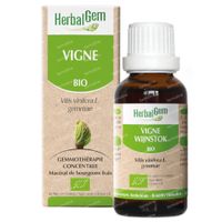 HerbalGem Vigne Bio 15 ml gouttes