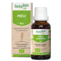 HerbalGem Heermoes Bio 15 ml druppels