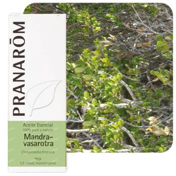 Pranarôm Essentiële Olie Mandravasarotra 10 ml