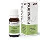 Pranarôm Essentiële Olie Rozemarijn - Cineolhoudend Bio 10 ml