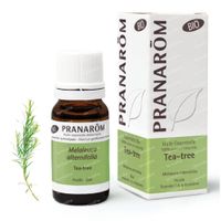 Pranarôm Tea Tree Essenzielles Öl Bio 10 ml
