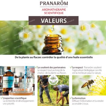 Pranarôm Huile Essentielle Eucalyptus Globuleux Bio 10 ml
