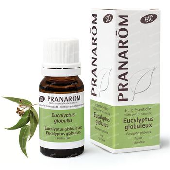 Pranarôm Huile Essentielle Eucalyptus Globuleux Bio 10 ml
