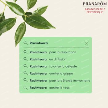 Pranarôm Essentiële Olie Ravintsara Bio 10 ml