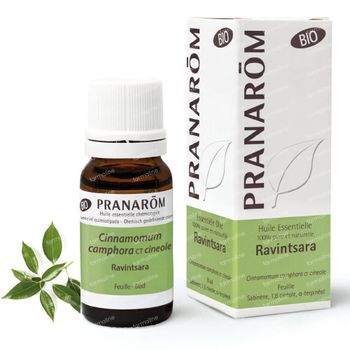 Pranarôm Essentiële Olie Ravintsara Bio 10 ml