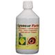 Comed Lysocur Forte 500 ml solution