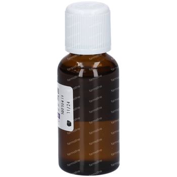 Phytosun Mix van Essentiële Oliën voor Verstuiving Zuiverend 30 ml