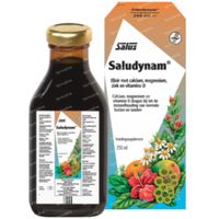 Salus Saludynam Mineral Drink 250 ml