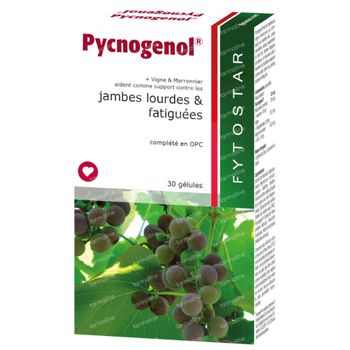 Fytostar Pycnogenol 30 capsules