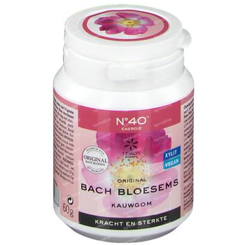 Fleurs de Bach Chewing-gum N40 Energie S/Sucre 40 st