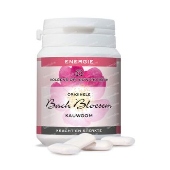 Fleurs de Bach Chewing-gum N40 Energie S/Sucre 40 st