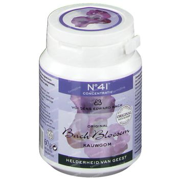 Fleurs de Bach Chewing-gum N41 Concentration S/Sucre 40 st