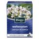 Kneipp Thé Bonne Nuit 15 sachets