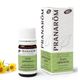 Pranarom Inule Odorante Bio Ätherisches Öl 5 ml