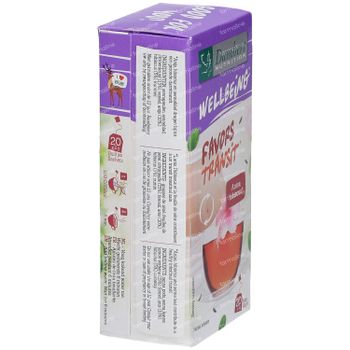 Damhert Tea Time Stoelgang Thee 20 zakjes