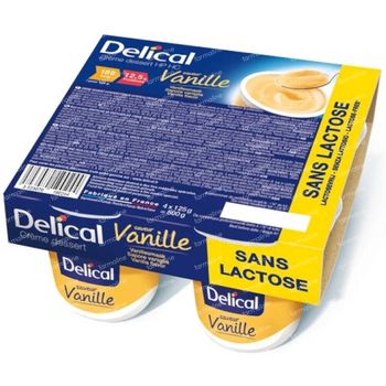 Delical Creme Dessert Hp-Cp Vanille Sans Lactose 500 g
